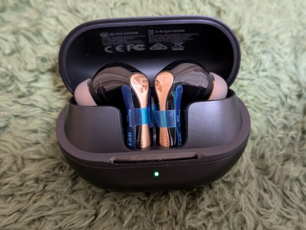 イヤホン(本体)